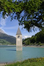 Old church spire of Graun in Reschensee
