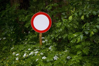 Verkehrsschild Durchfahrt Verboten steht im Gebuesch am Waldrand