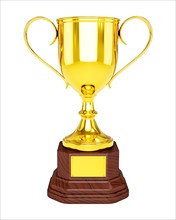 3d rendering of gold trophy cup isolated on white background