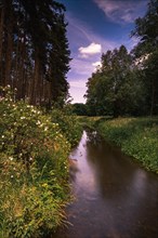 Long exposure of the river Wietze in Langenhagen in the region of Hannover