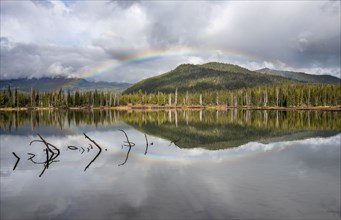 Rainbow in dark clouds over a forest