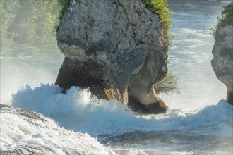 Fast currents in Rhine Falls in spring. Neuhausen am reinfall. Schaffhausen