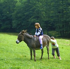 Stubborn donkey and children