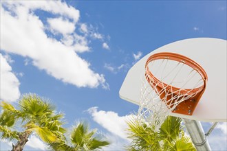Abstract of community basketball hoop and net and palm trees against blue sky
