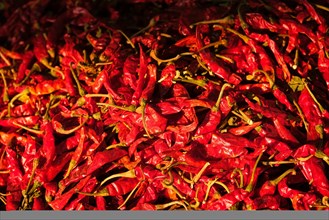 Dried dry red spicy chili peppers pile at asian market close up texture background