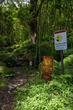 Maunawili Trail
