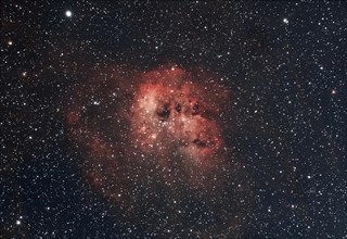 Emissionsnebel IC410 mit einem eingebetteten offenen Sternhaufen