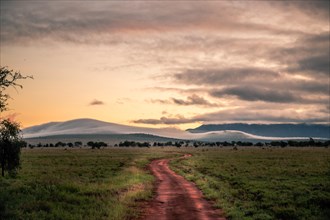 Landscape shot in the wide savannah with mountains and morning fog