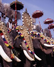 During the elephants parade at the Hindu temple festival Pooram in Trichur or Trissur