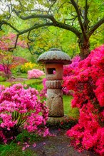 Stone lantern in Japanese garden with blooming flowers