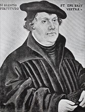 Martin Luther was a German theology professor
