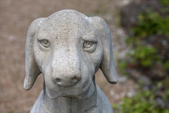 Head of a dog sculpture