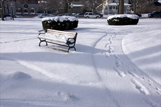 Empty snowy bench in chicago park after winter snow