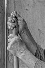 Hands of a farmer holding a wooden handle