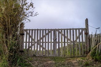 Wooden gate with a padlock leading to the field