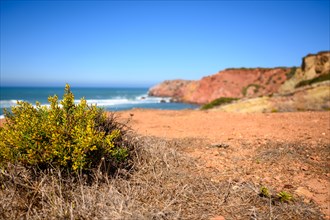 Portugal hat an der Algarve viele Steilkuesten mit hohen Wellen des Atlantik. Auf dem trockenen kargen Boden wachsen vereinzelte Buesche. Der blaue Himmel mit der weissen Gischt ist ein guter Kontrast...