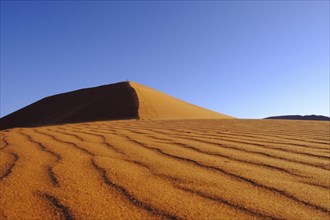 Orange dunes landscape. Sossusvlei