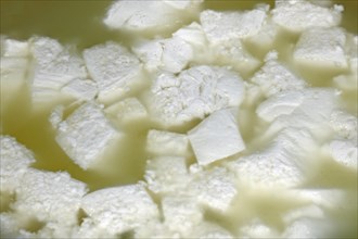 Klein geschnittener Kaesebruch fuer die Herstellung von Mozzarella