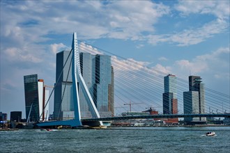 View of Rotterdam cityscape with Erasmusbrug bridge over Nieuwe Maas and modern architecture skyscrapers. Rotterdam