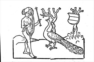 The Fable of the Woman and the Peacock. From the book and life of the highly famous fabulist Aesopi