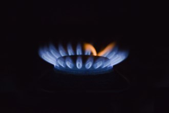 Blue gas flame on a gas stove
