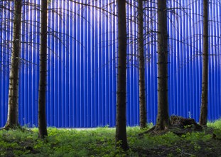 Blick durch den Wald auf eine Fassade einer blauen Fabrikshalle