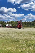 Red windmill in a flowering meadow on the edge of a village