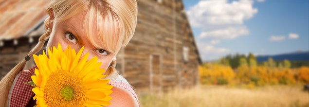 Beautiful caucasian young woman holding sunflower in front of rustic barn in the country