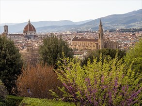 View from Piazzale Michelangelo