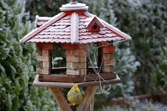 Vogelfutterhaus im Winter mit Spinnengewebe