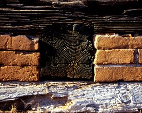 Old half-timbered house Annual rings Brick wall