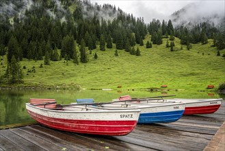 Rowing boats at the Vilsalpsee