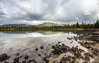 Rainbow in dark clouds over a forest