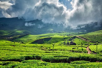 Kerala India travel background