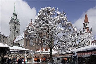 Viktualienmarkt with St. Peter's Church and Old Town Hall