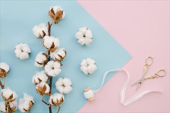 Arrangement with cotton flowers scissors