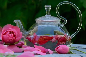 Rose tea in teapot and rose petals