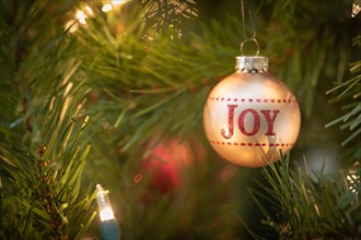 Joy written on christmas ornament hanging on tree