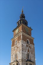 Town Hall Tower