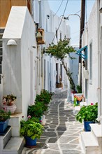 Picturesque narrow street with traditional whitewashed houses with blooming flowers of Naousa town in famous tourist attraction Paros island
