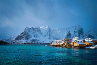 Yellow rorbu houses of Sakrisoy fishing village with snow in winter. Lofoten islands