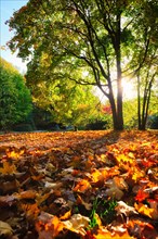 Golden autumn fall October in famous Munich relax place