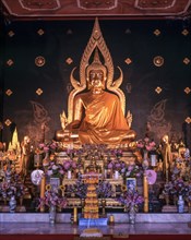 Statue of Lord Buddha in Thai Temple at Bodhgaya