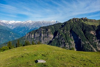 Spring meadow in Kullu valley in Himalaya mountains. Himachal Pradesh