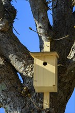 Bird nesting box