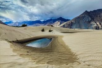 Sand dunes in Himalayan desert near Hunder village