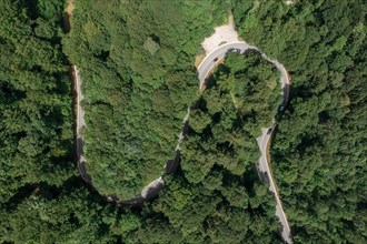Double curve in the green forest from above and moving car
