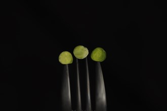 Three green peas on a fork