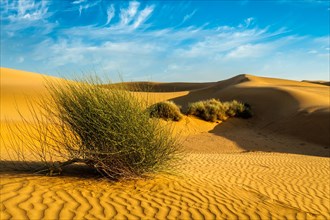 Sam Sand dunes of Thar Desert under beautiful sky
