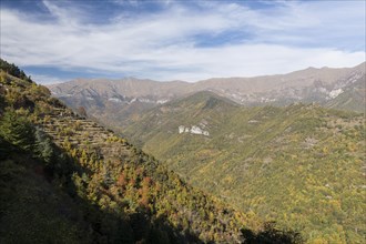 Autumn in the Ligurian Alps near Imperia